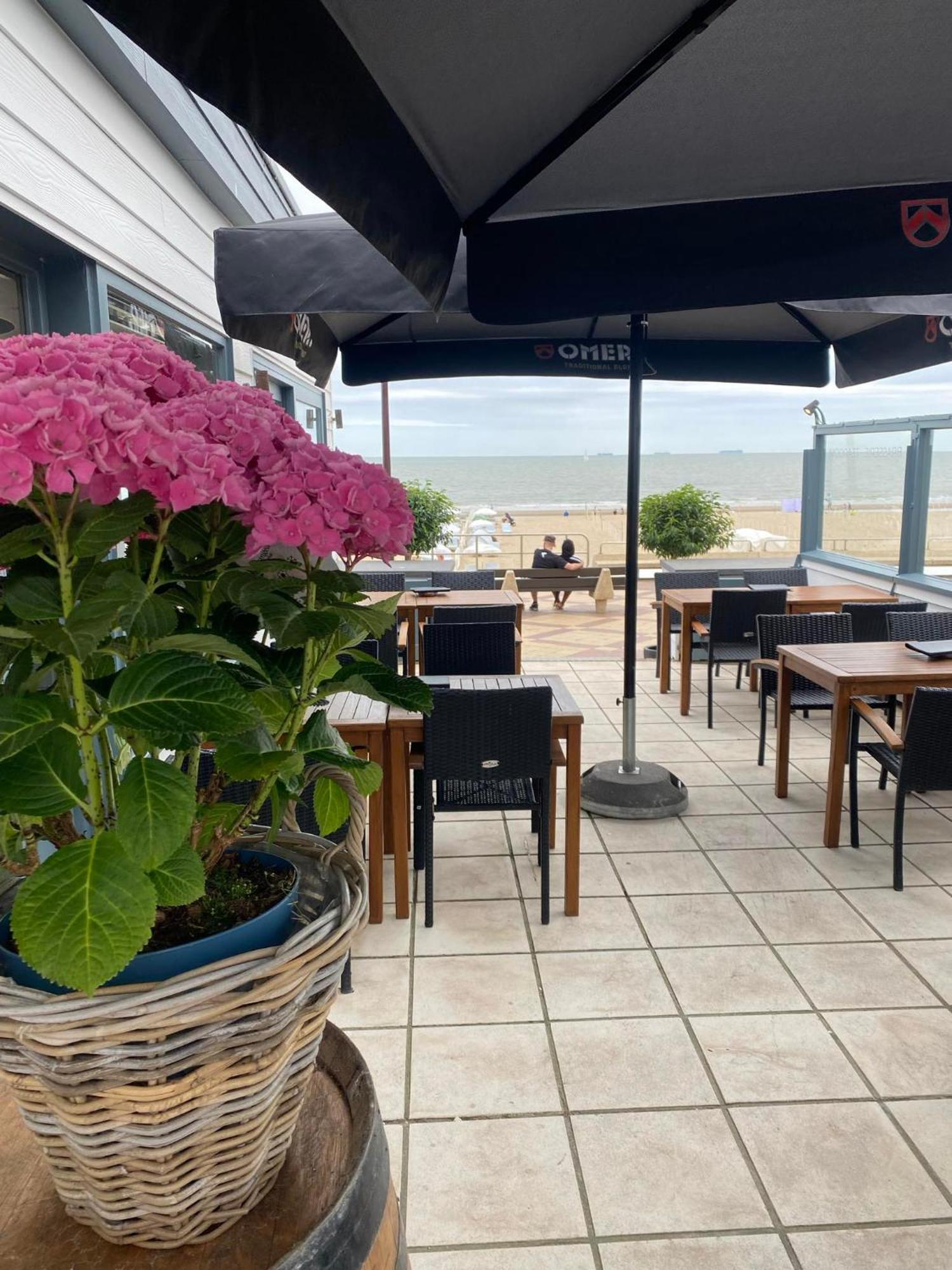 Junior Suite met Terras